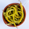 Encurtido Guindillas | 450 gr