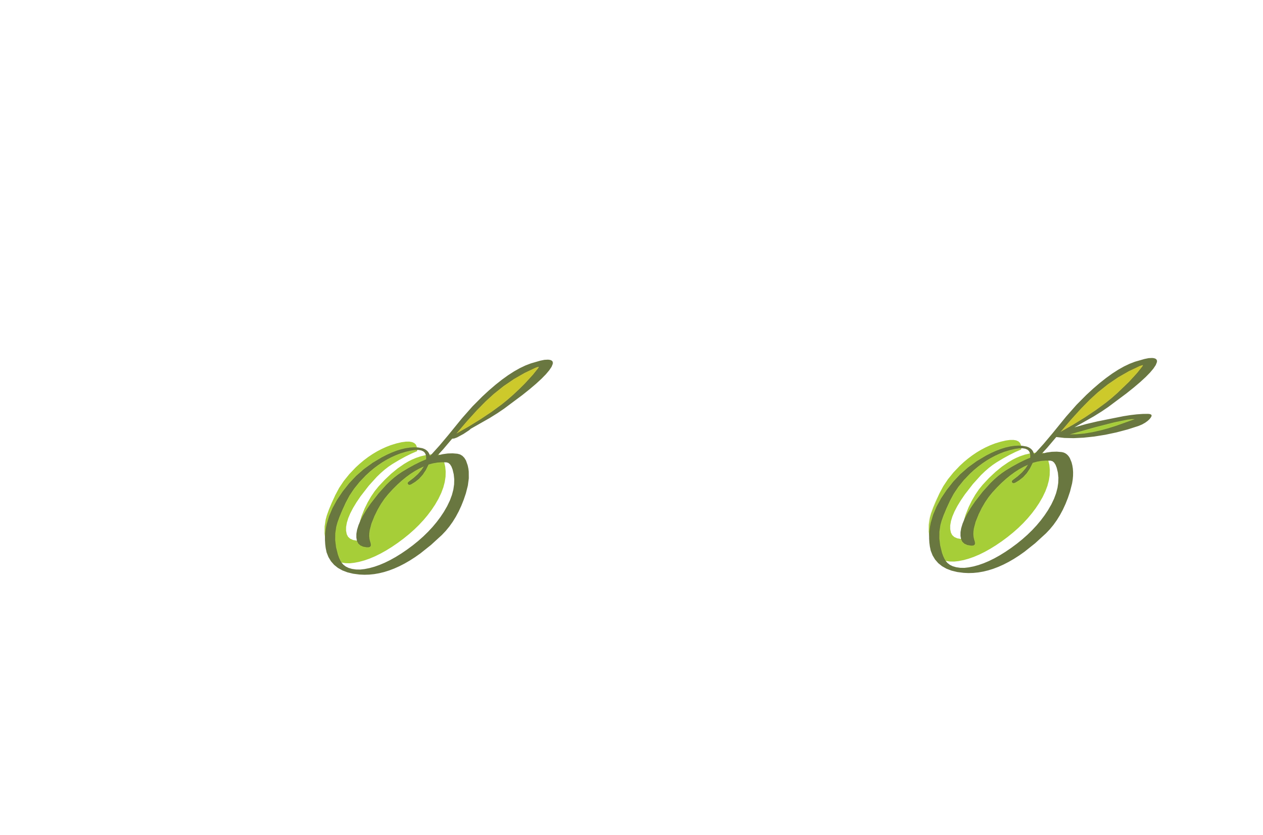 Lop y Leo Aceitunas, Gildas y Encurtidos