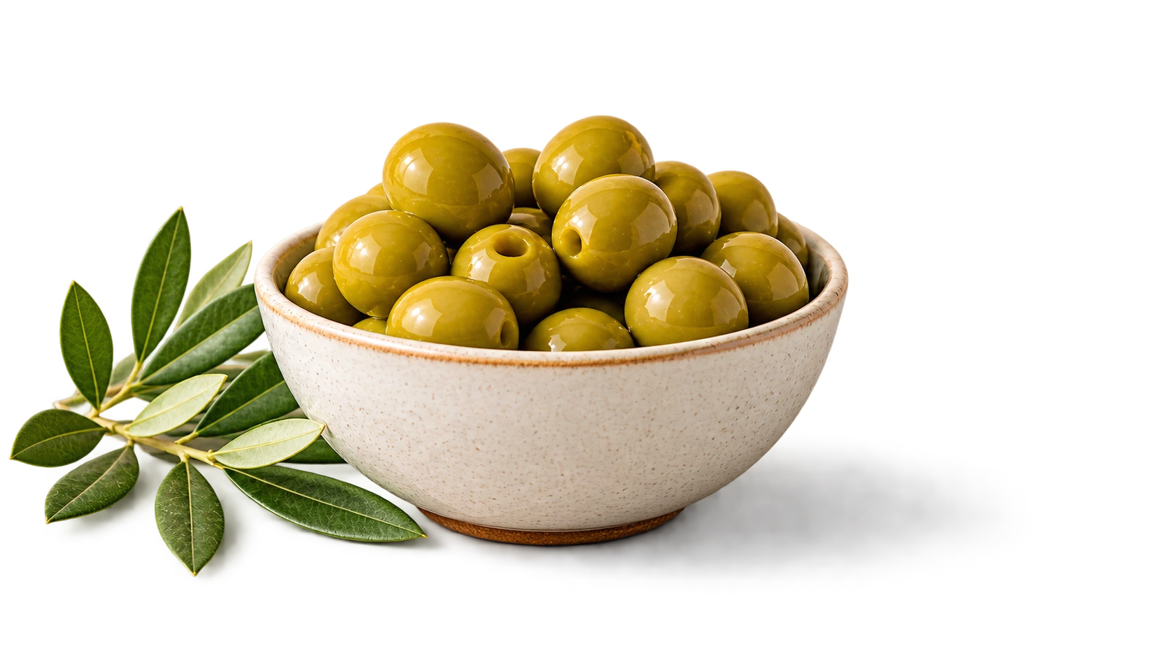 Aceitunas Lopyleo